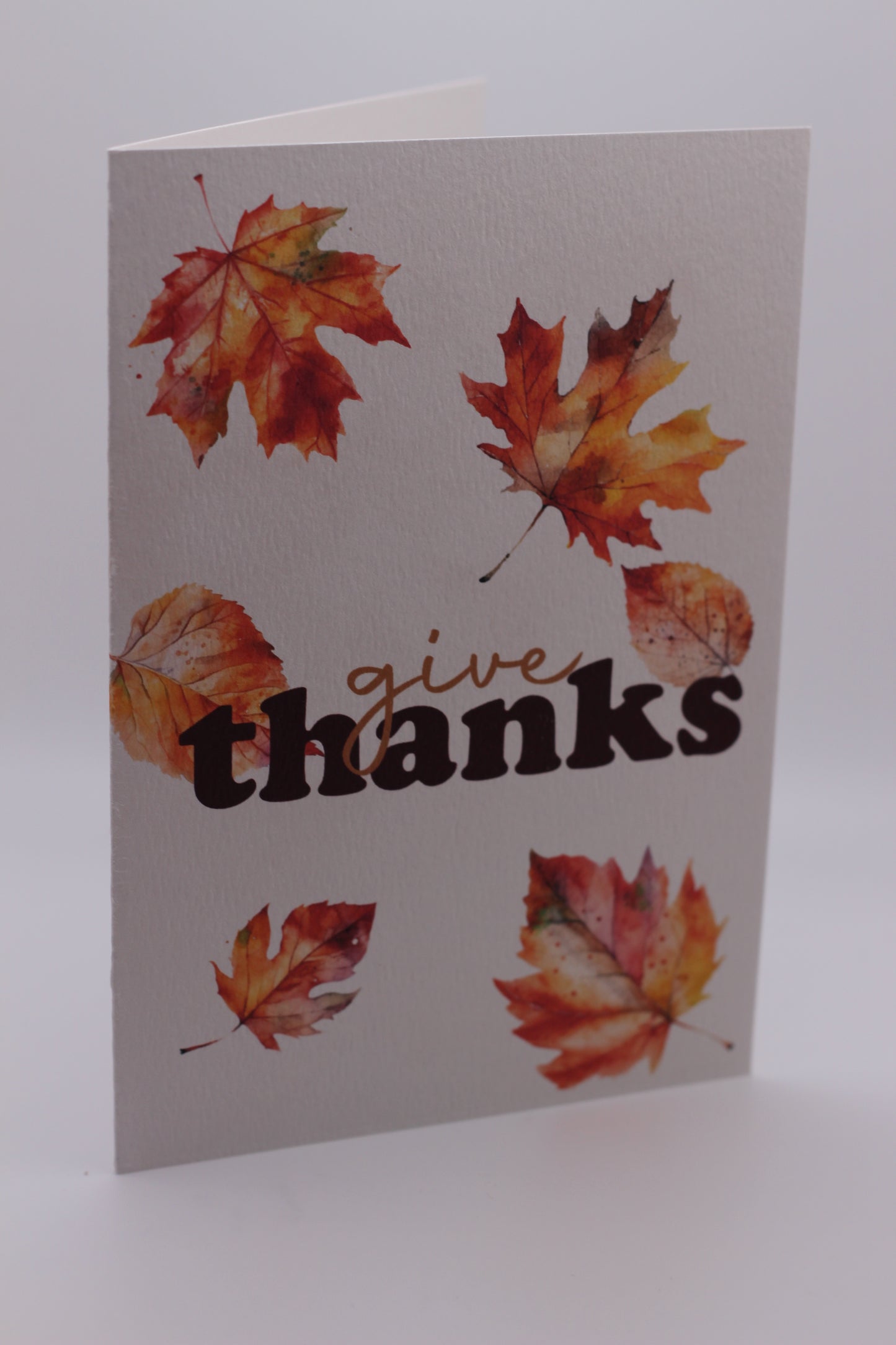 Box of 10 Thanksgiving cards